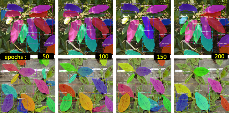 Figure 20