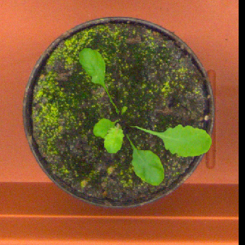 Figure 27