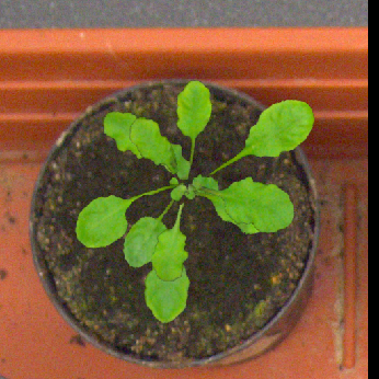 Figure 28