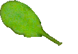 Figure 32