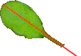Figure 33