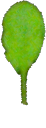 Figure 35