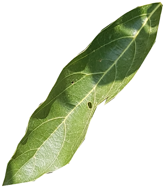 Figure 38
