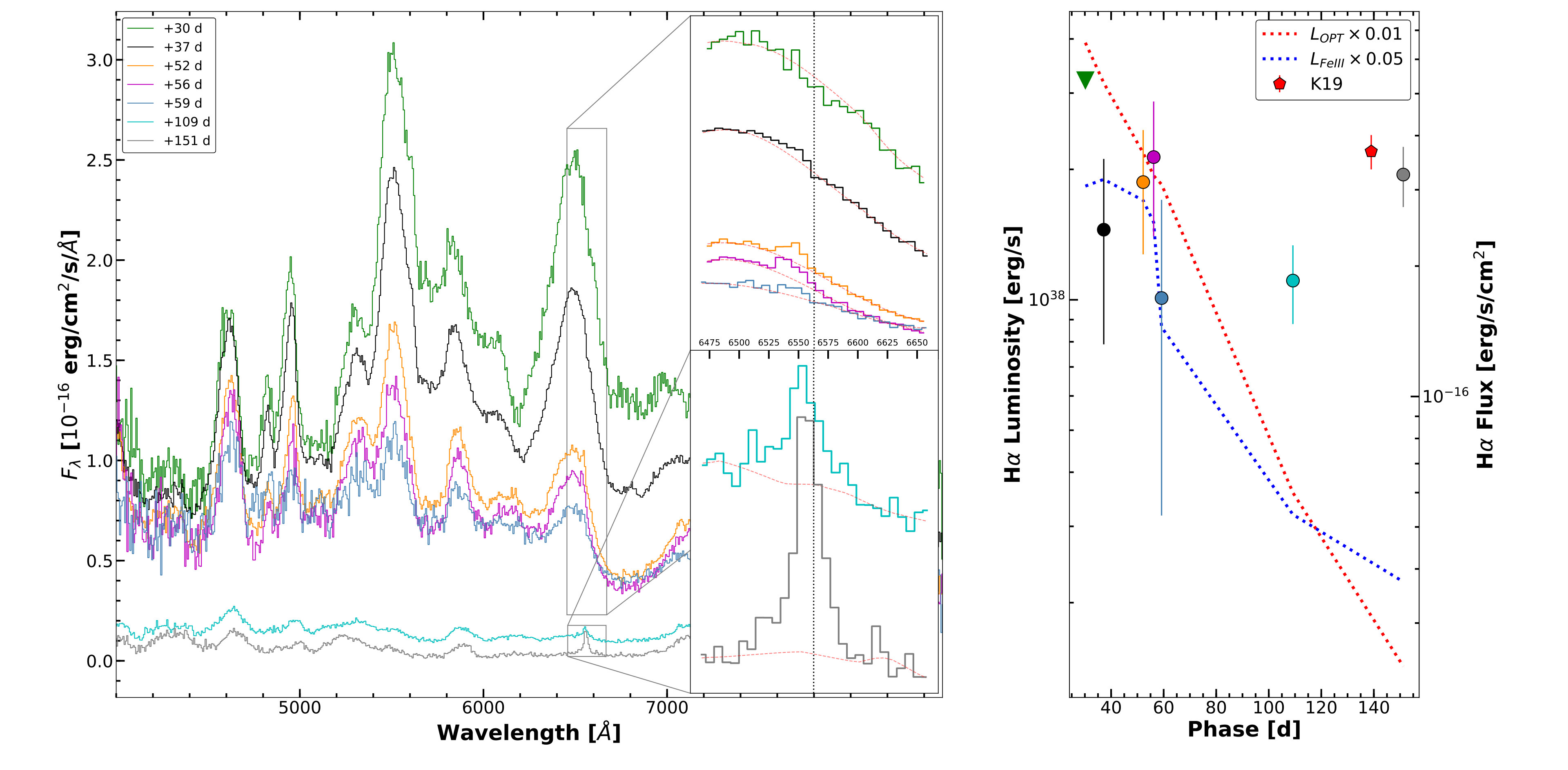 Figure 13