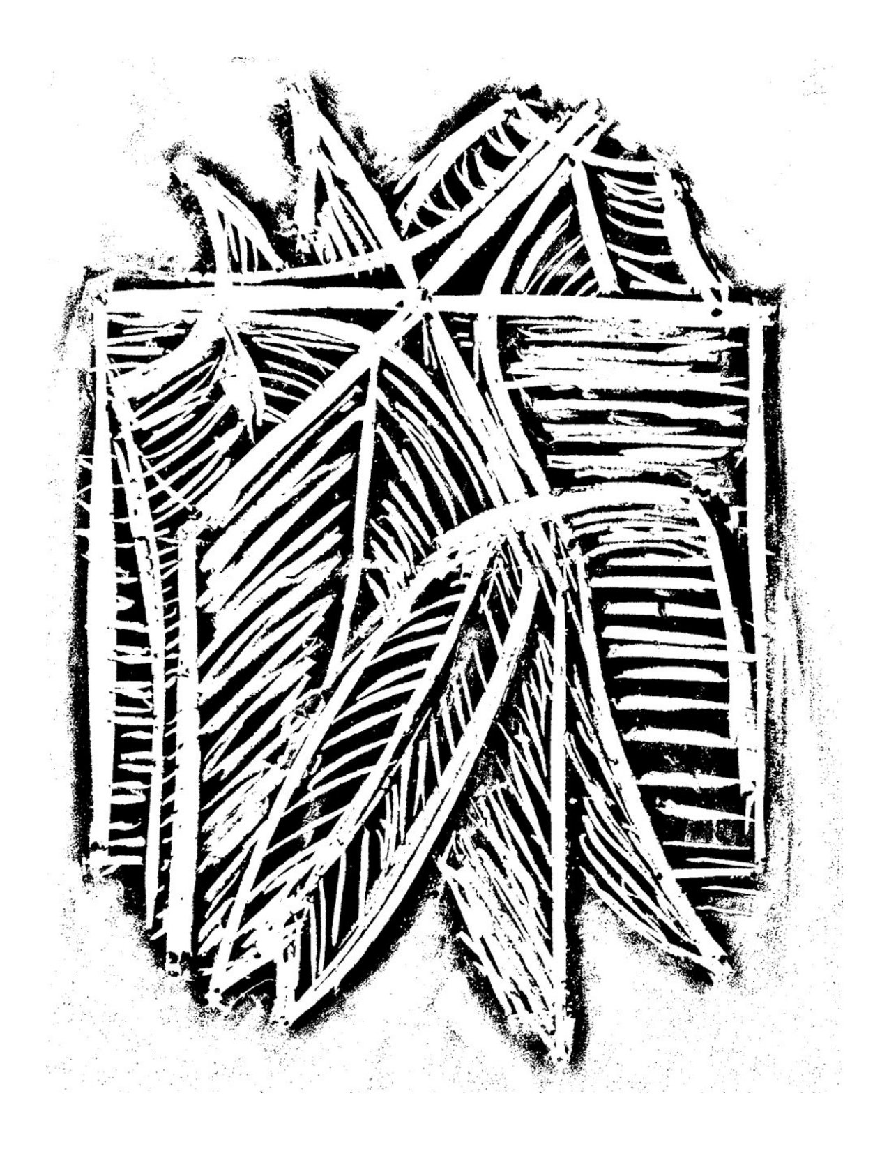 Figure 20