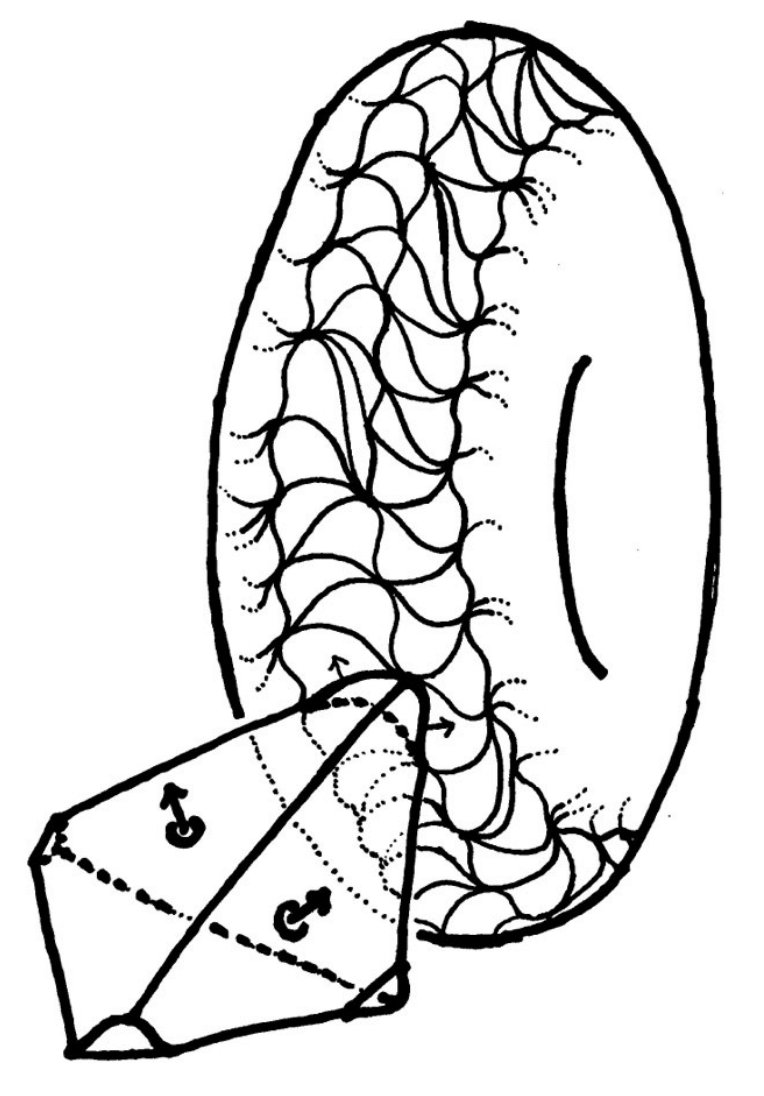 Figure 22