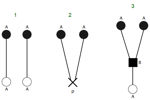 Figure 8