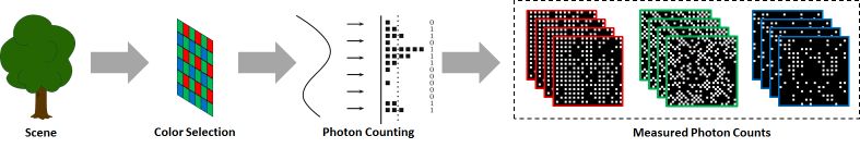 Figure 31