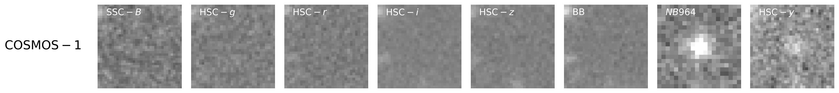 Figure 31