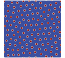 Figure 24