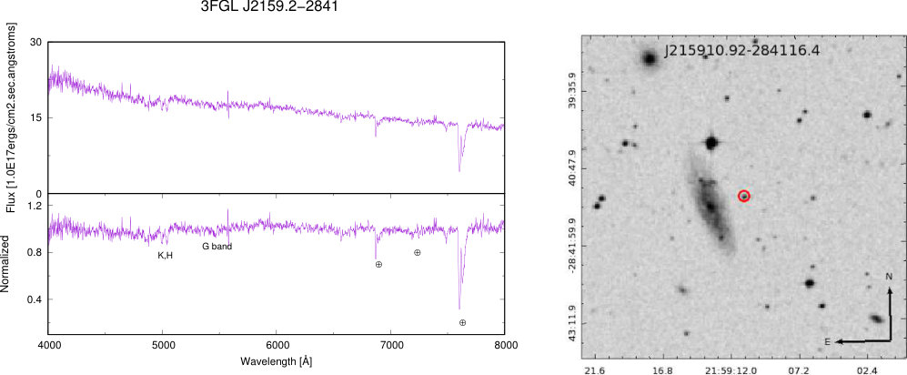 Figure 31