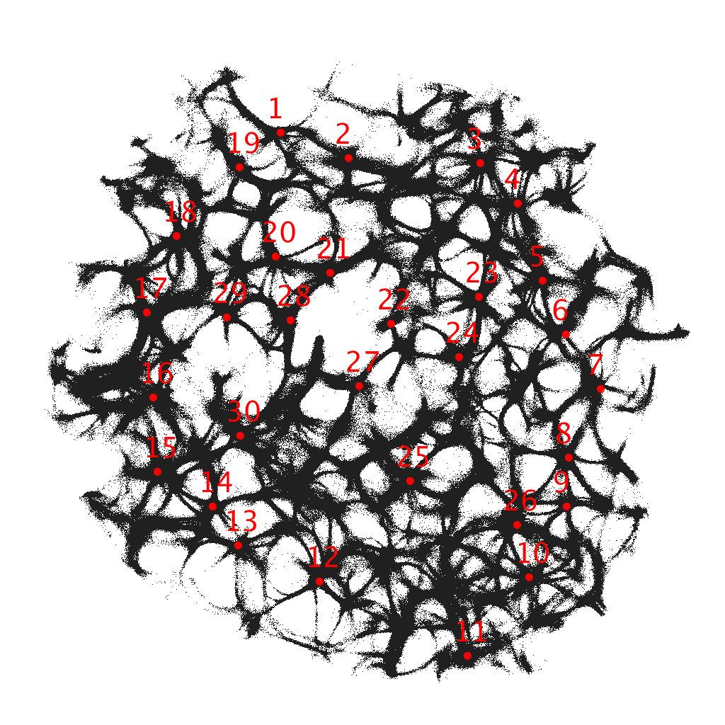 Figure 13