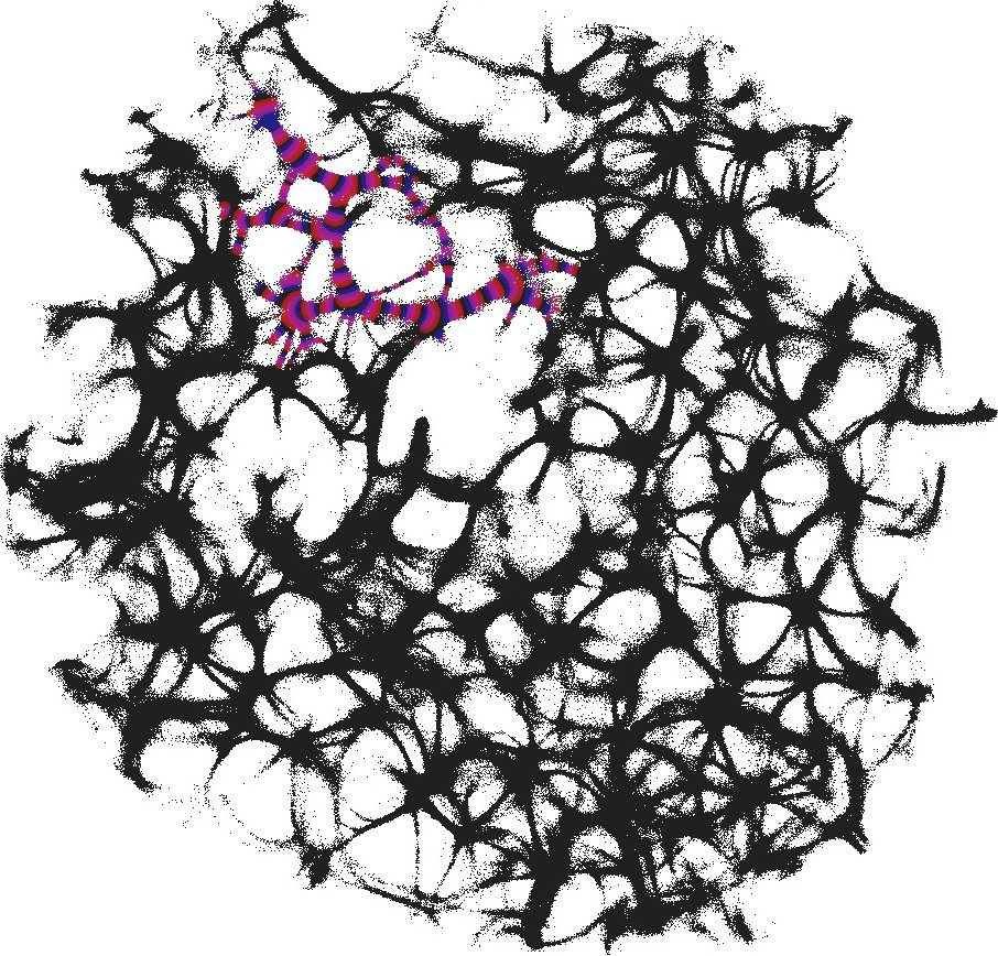 Figure 29