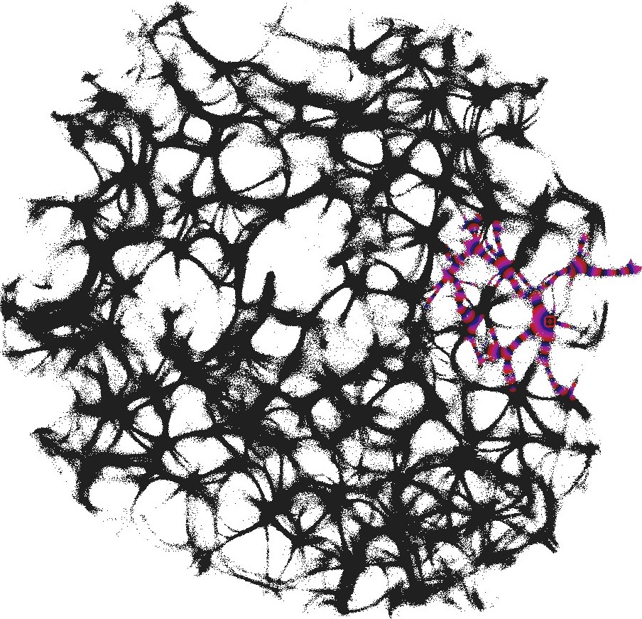 Figure 30