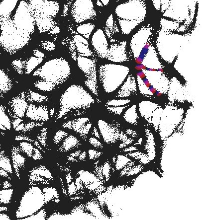 Figure 31