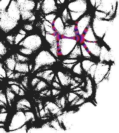 Figure 32