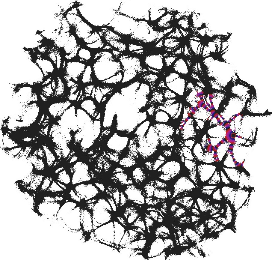 Figure 34