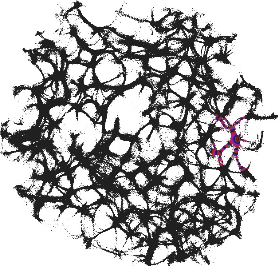 Figure 35