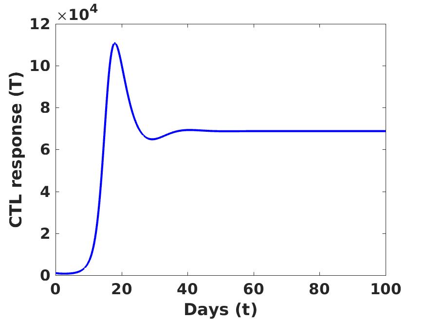 Figure 24