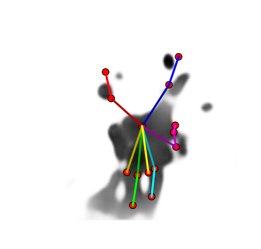 Figure 12