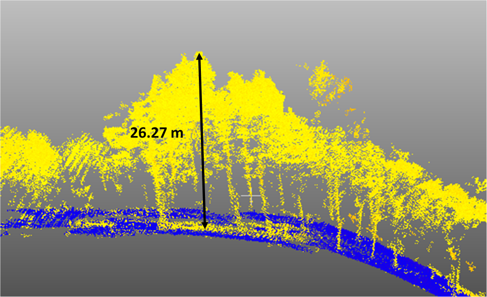 Figure 18