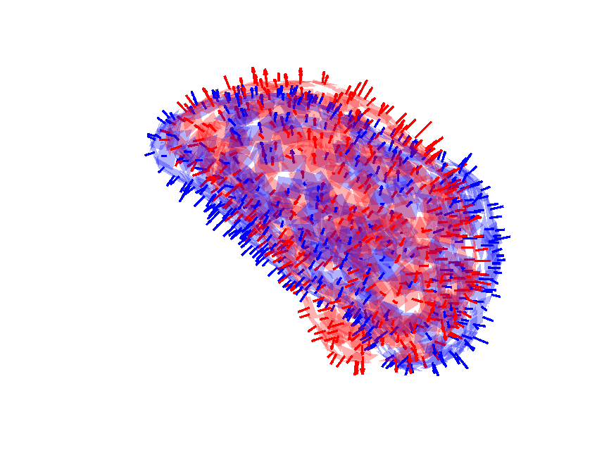 Figure 28