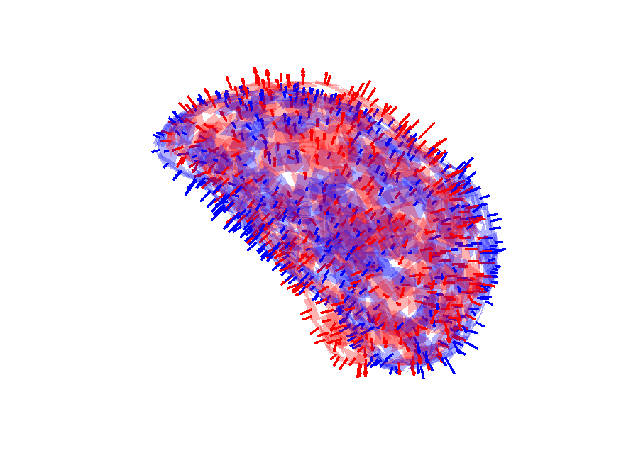 Figure 29