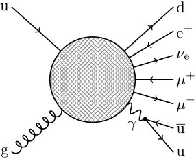 Figure 8