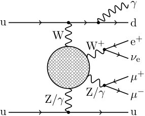 Figure 19