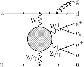 Figure 20