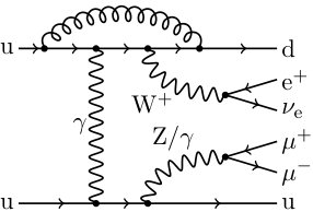 Figure 24