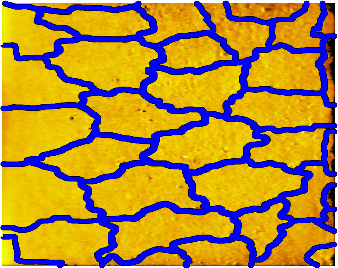 Figure 20