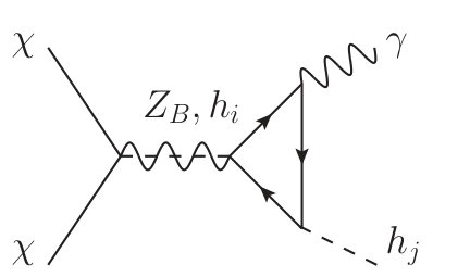 Figure 20