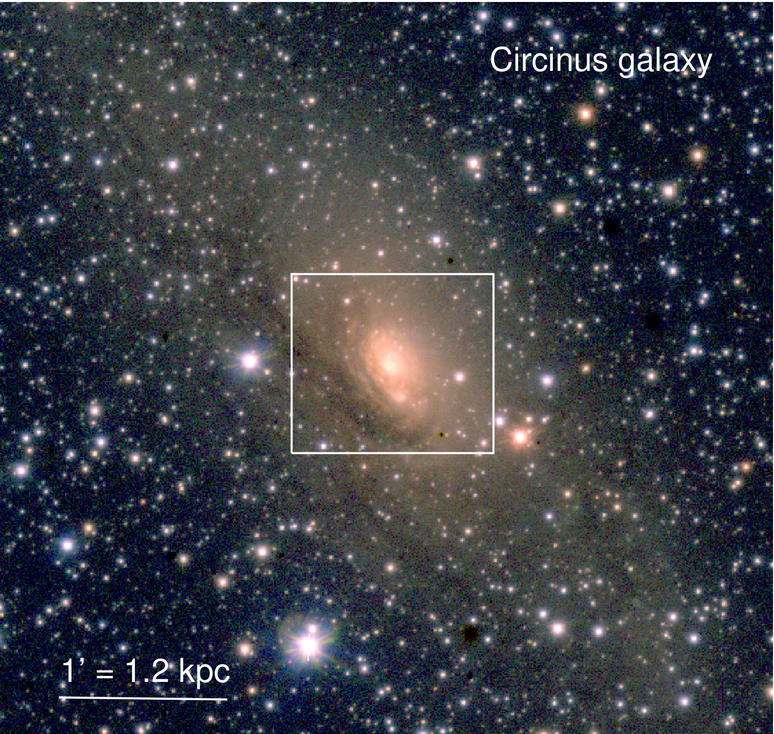 Figure 13