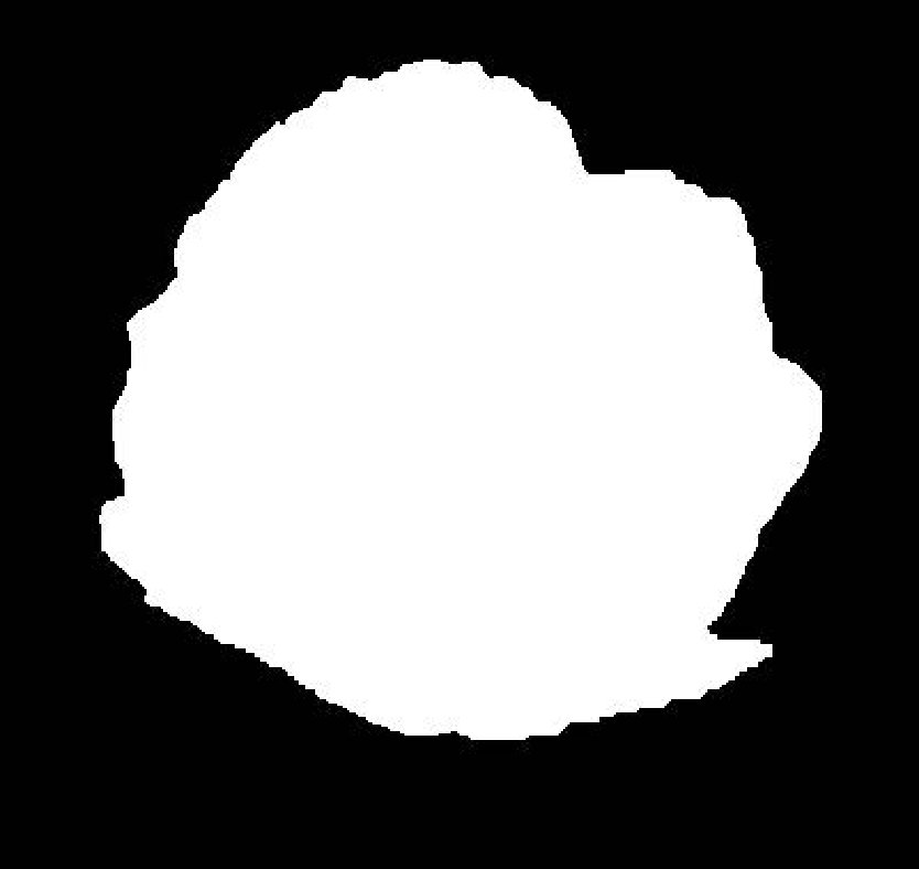 Figure 19