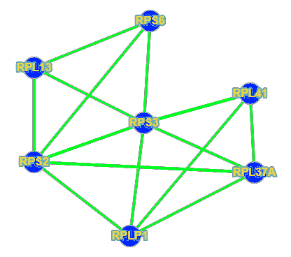 Figure 25