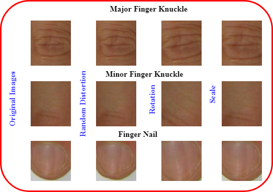 Figure 11