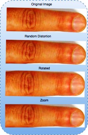 Figure 12