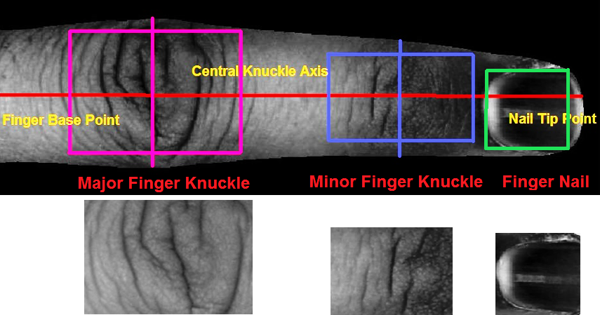 Figure 14