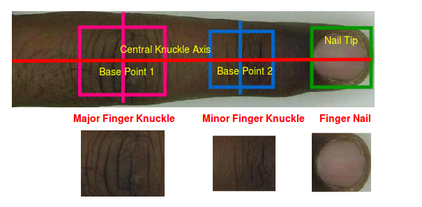 Figure 15