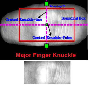 Figure 17