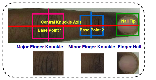 Figure 19