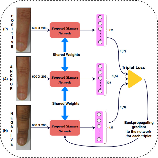 Figure 25