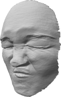 Figure 33