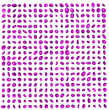 Figure 30