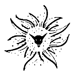 Figure 35