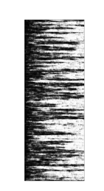 Figure 38