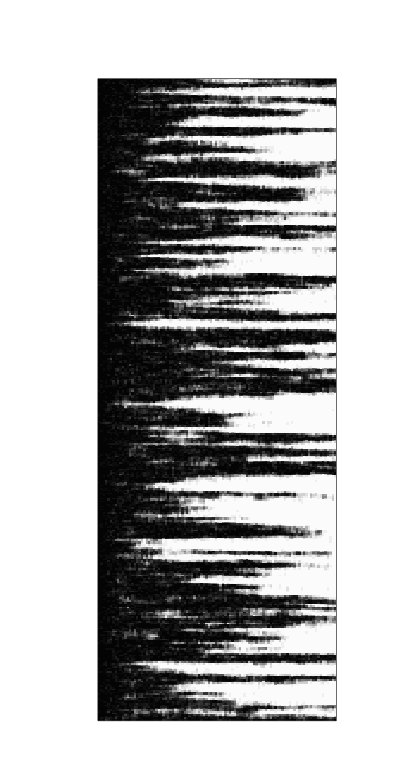 Figure 40
