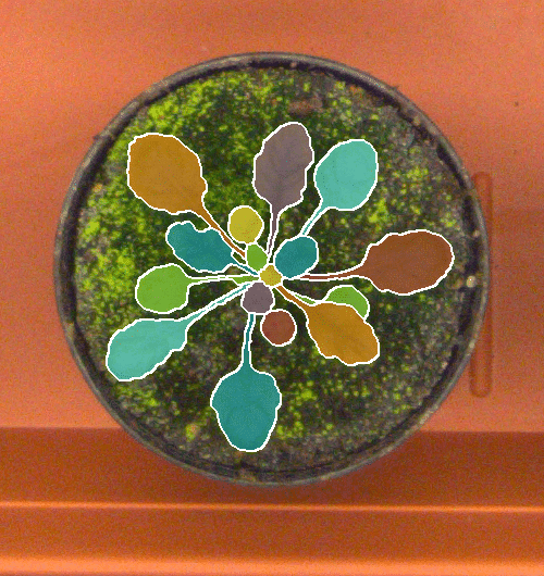 Figure 9