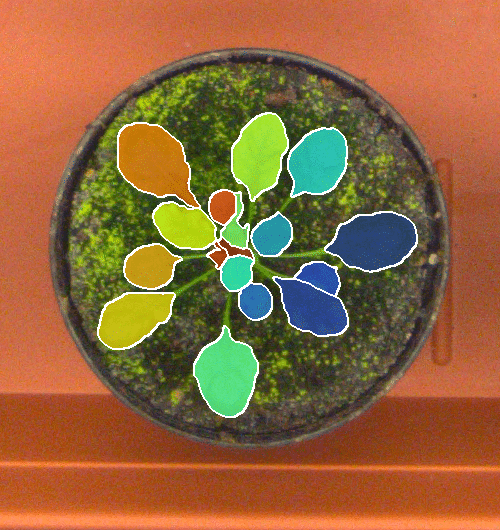 Figure 10